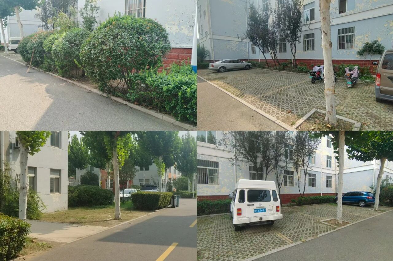 【魯南電商】共建美麗園區(qū)，我們在行動(dòng)！1